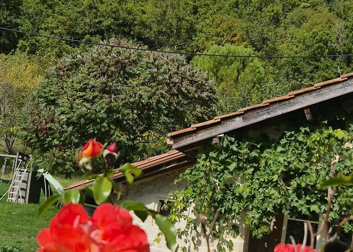 Bed & Breakfast Coussoulesses 3*